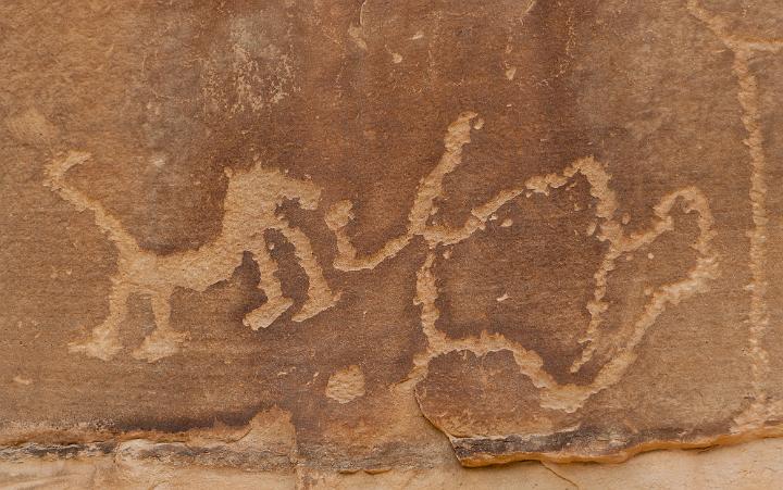 Mesa Verde Petroglyph.jpg